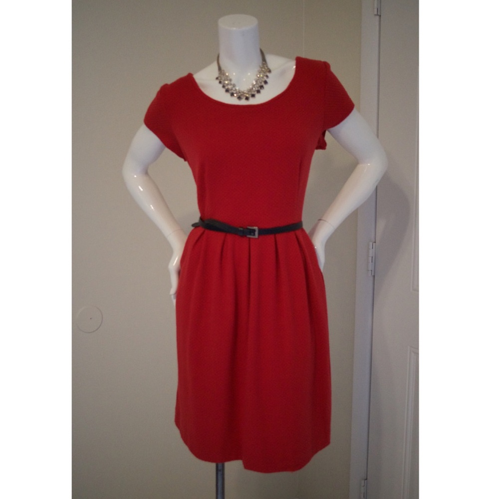 🌹NWT Elle Flare Dress🌹 Tag Size: Large